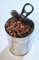 can-of-worms.webp