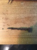 ImageUploadedByTreasureNet.com1483579389.555328.webp