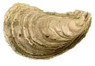 images3J5RXD8B.webp