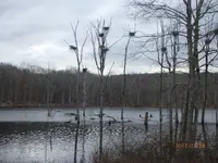 P1280350.webp