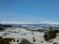 drive 011917 2.webp