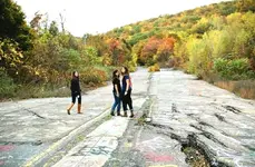 centraliapaintedroad.webp