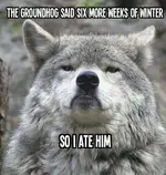 winterhog.webp
