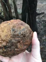 round rock.webp round rock.webp