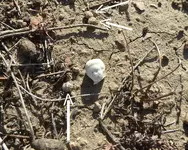 A2.webp A2.webp