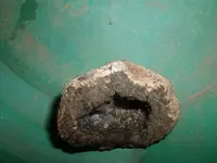 DSCF0004.webp