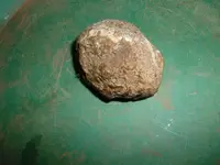 DSCF0006.webp