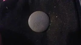 button front 1.webp