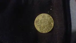 button front.webp