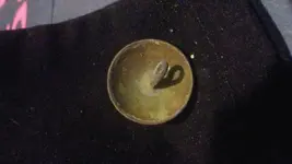 dome button back.webp