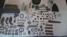 whole collection.webp