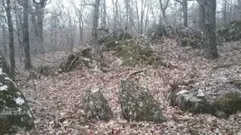 v bren 2 (1).webp