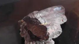 Rock 6.webp