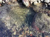 site-2_digging.webp