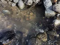 site-1_digging.webp