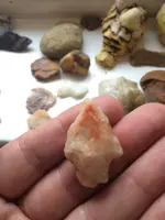 ImageUploadedByTreasureNet.com1486410183.254211.webp
