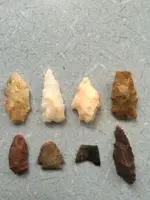 ImageUploadedByTreasureNet.com1486410223.520394.webp ImageUploadedByTreasureNet.com1486410223.520394.webp