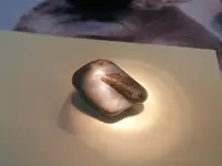 20170120_113524.webp
