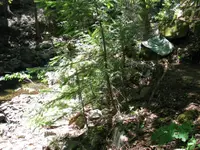 168_6837.webp 168_6837.webp