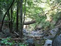 168_6848.webp 168_6848.webp