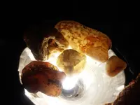 20161105_121023[1].webp