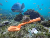 scuba_tector_1.webp