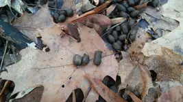 20170104_155126.webp