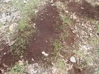 DSCF0009.webp