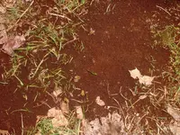 DSCF0010.webp