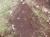 DSCF0011.webp