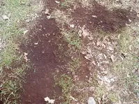 DSCF0012.webp