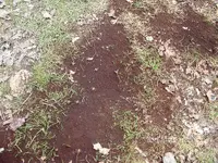 DSCF0013.webp