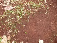 DSCF0014.webp