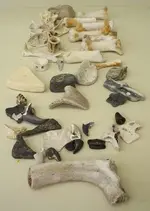 bagOfBones.webp