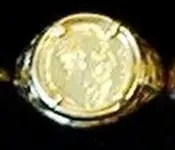 Gold coin ring.webp