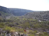 Canyon 1.webp