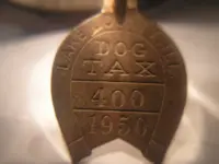 1950 dog tag.webp