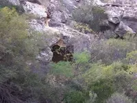 Cave.webp