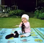 Eating Dog.webp