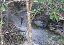 Fossil Hunt 025.webp