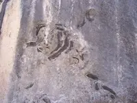 Fossil.webp