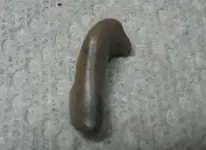 Fossil Hunt 033.webp