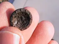 button front.webp