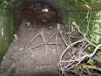 CW Grave 2.webp