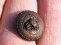 button rear.webp