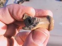 clay pipe stem1.webp