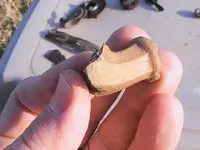 clay pipe stem2.webp