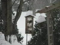 lots more snow 005.webp
