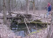 Cellar Hole HB.webp