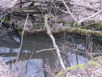 Cellar Hole.webp